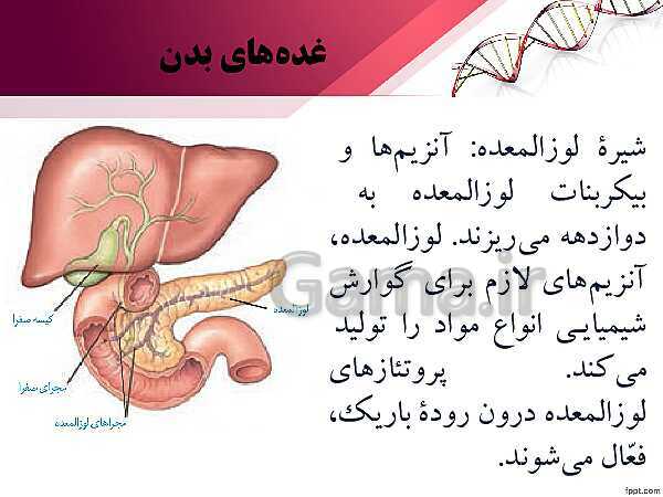 پاورپوینت تدریس زیست شناسی (2) یازدهم تجربی | فصل 4: تنظیم شیمیایی (گفتار 1: ارتباط شیمیایی)- پیش نمایش