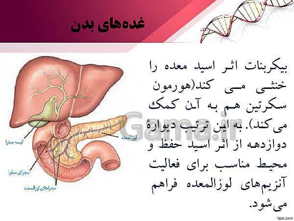 پاورپوینت تدریس زیست شناسی (2) یازدهم تجربی | فصل 4: تنظیم شیمیایی (گفتار 1: ارتباط شیمیایی)- پیش نمایش