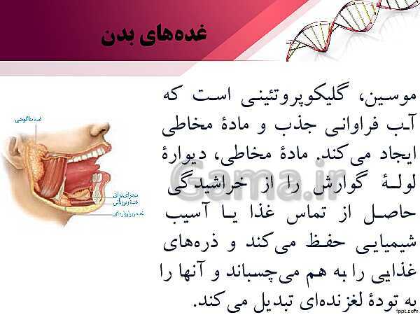 پاورپوینت تدریس زیست شناسی (2) یازدهم تجربی | فصل 4: تنظیم شیمیایی (گفتار 1: ارتباط شیمیایی)- پیش نمایش