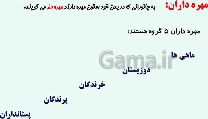 پاورپوینت تدریس نکته به نکته درس 12 و 13: هر کدام جای خود (1) و (2)- پیش نمایش