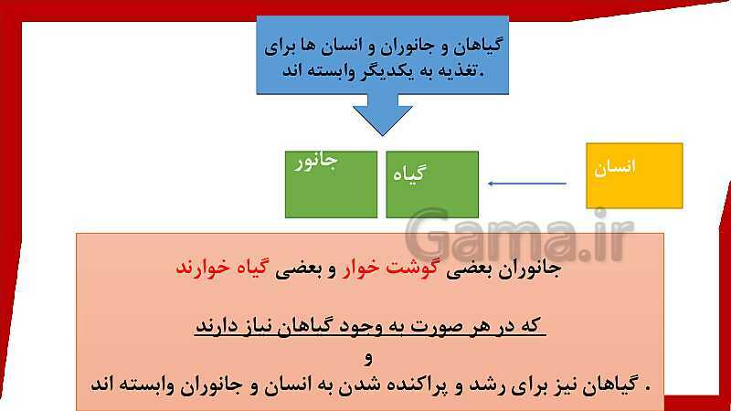 پاورپوینت علوم تجربی دوم دبستان | درس 10: درون آشیانه‌ها:چرخه زندگی و زنجیره ی زیستی- پیش نمایش