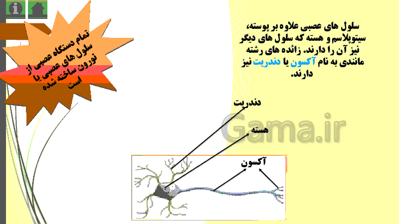 پاورپوینت علوم پنجم دبستان | درس 5: حرکت بدن- پیش نمایش