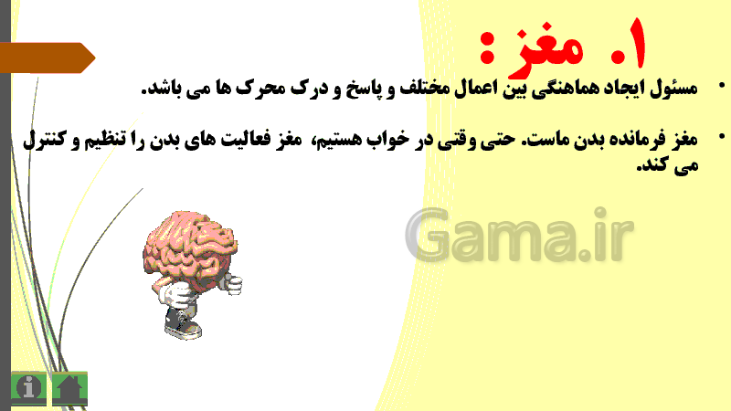 پاورپوینت علوم پنجم دبستان | درس 5: حرکت بدن- پیش نمایش