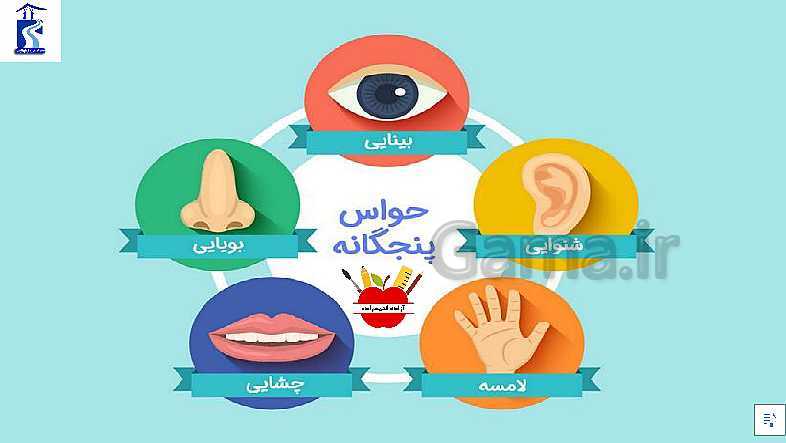 پاورپوینت صوتی علوم تجربی اول دبستان | درس 2: سلام، به من نگاه کن!- پیش نمایش