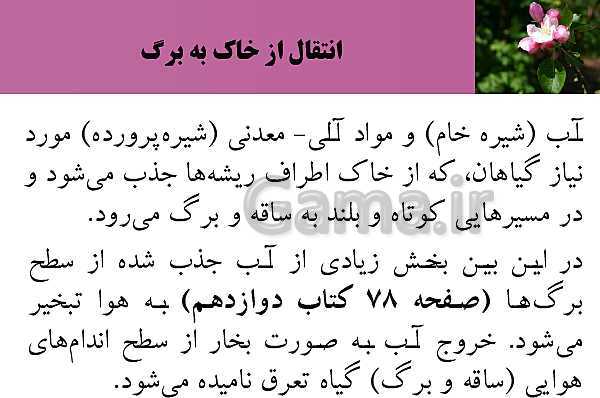 پاورپوینت فصل 7 زیست شناسی (1) دهم تجربی | گفتار 3: انتقال مواد در گیاهان- پیش نمایش