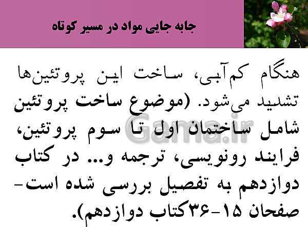 پاورپوینت فصل 7 زیست شناسی (1) دهم تجربی | گفتار 3: انتقال مواد در گیاهان- پیش نمایش