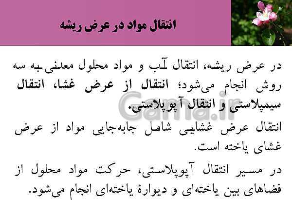 پاورپوینت فصل 7 زیست شناسی (1) دهم تجربی | گفتار 3: انتقال مواد در گیاهان- پیش نمایش