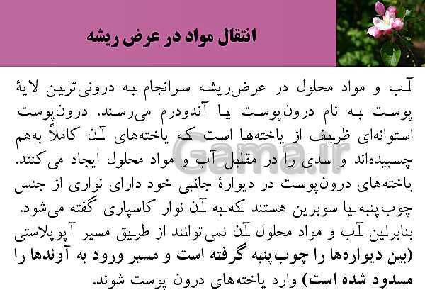 پاورپوینت فصل 7 زیست شناسی (1) دهم تجربی | گفتار 3: انتقال مواد در گیاهان- پیش نمایش