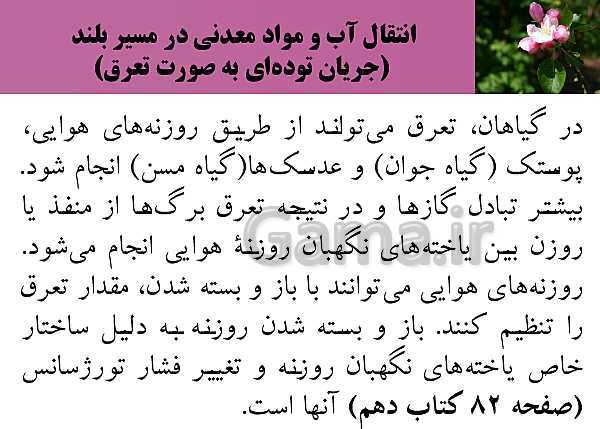 پاورپوینت فصل 7 زیست شناسی (1) دهم تجربی | گفتار 3: انتقال مواد در گیاهان- پیش نمایش