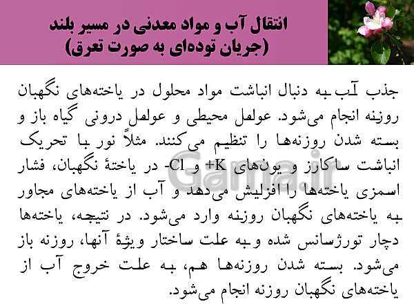 پاورپوینت فصل 7 زیست شناسی (1) دهم تجربی | گفتار 3: انتقال مواد در گیاهان- پیش نمایش