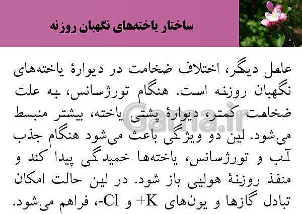 پاورپوینت فصل 7 زیست شناسی (1) دهم تجربی | گفتار 3: انتقال مواد در گیاهان- پیش نمایش