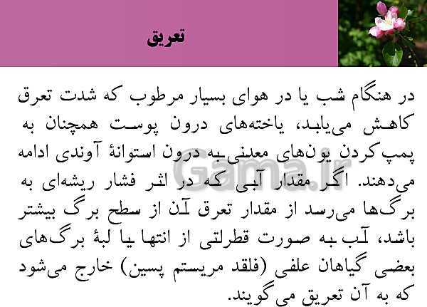 پاورپوینت فصل 7 زیست شناسی (1) دهم تجربی | گفتار 3: انتقال مواد در گیاهان- پیش نمایش