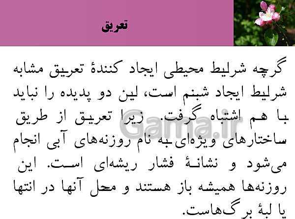 پاورپوینت فصل 7 زیست شناسی (1) دهم تجربی | گفتار 3: انتقال مواد در گیاهان- پیش نمایش