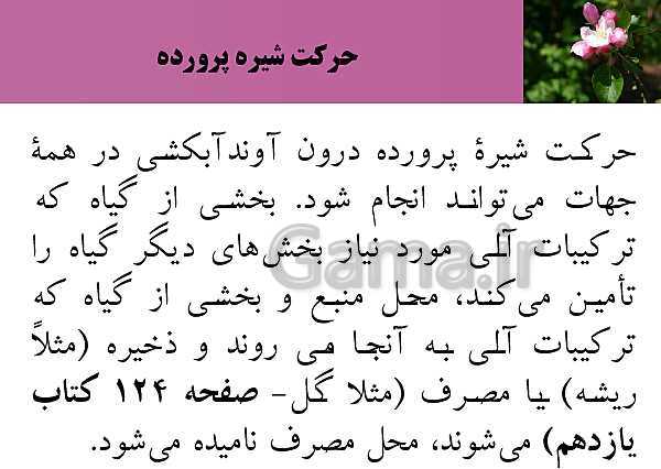 پاورپوینت فصل 7 زیست شناسی (1) دهم تجربی | گفتار 3: انتقال مواد در گیاهان- پیش نمایش