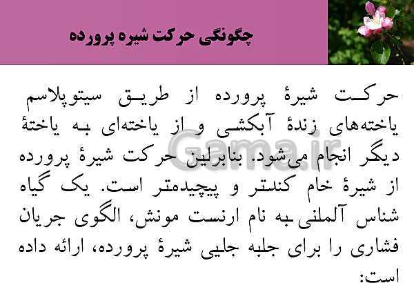 پاورپوینت فصل 7 زیست شناسی (1) دهم تجربی | گفتار 3: انتقال مواد در گیاهان- پیش نمایش