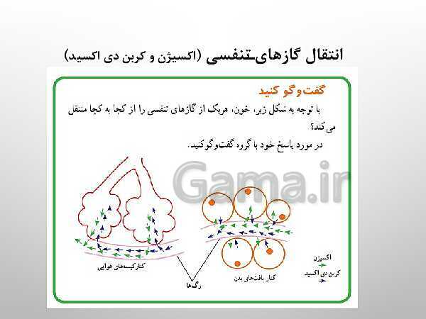 پاورپوینت تدریس علوم تجربی هفتم | فصل 15: تبادل با محیط- پیش نمایش