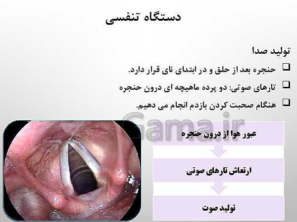 پاورپوینت تدریس علوم تجربی هفتم | فصل 15: تبادل با محیط- پیش نمایش