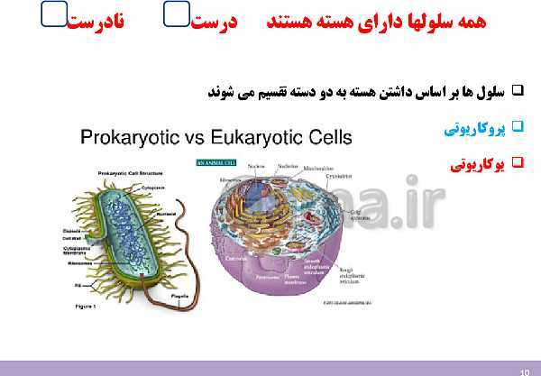 پاورپوینت علوم تجربی هفتم دوره اول متوسطه | فصل یازدهم: یاخته و سازمان بندی آن- پیش نمایش