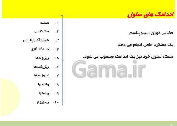 پاورپوینت علوم تجربی هفتم دوره اول متوسطه | فصل یازدهم: یاخته و سازمان بندی آن- پیش نمایش