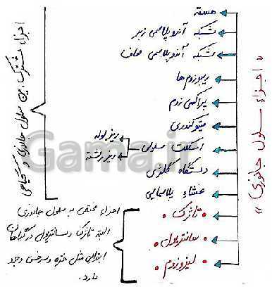 پاورپوینت علوم تجربی هفتم دوره اول متوسطه | فصل یازدهم: یاخته و سازمان بندی آن- پیش نمایش