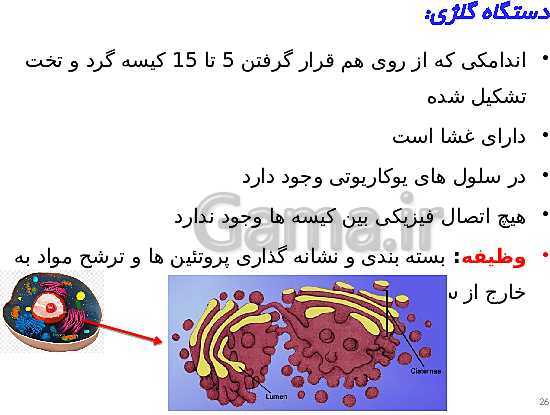 پاورپوینت علوم تجربی هفتم دوره اول متوسطه | فصل یازدهم: یاخته و سازمان بندی آن- پیش نمایش