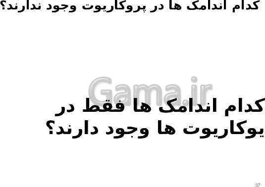 پاورپوینت علوم تجربی هفتم دوره اول متوسطه | فصل یازدهم: یاخته و سازمان بندی آن- پیش نمایش