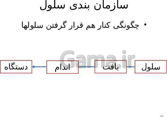 پاورپوینت علوم تجربی هفتم دوره اول متوسطه | فصل یازدهم: یاخته و سازمان بندی آن- پیش نمایش