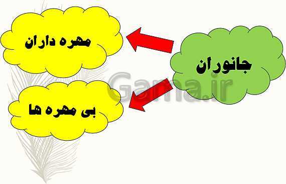 پاورپوینت علوم تجربی چهارم دبستان | درس 11: بی‌مهره‌ها- پیش نمایش