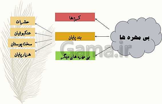 پاورپوینت علوم تجربی چهارم دبستان | درس 11: بی‌مهره‌ها- پیش نمایش