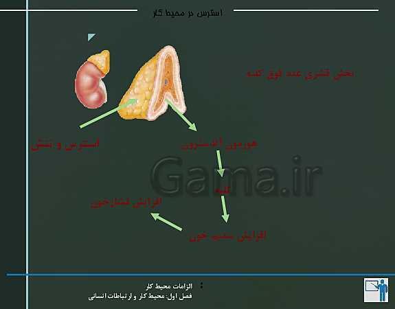 پاورپوینت الزامات محیط کار دهم هنرستان | پودمان 1: محیط کار و ارتباطات انسانی - پیش نمایش