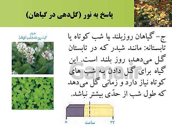 پاورپوینت تدریس زیست شناسی (2) یازدهم تجربی | فصل 9: پاسخ گیاهان به محرک ها (گفتار 2: پاسخ به محیط)- پیش نمایش