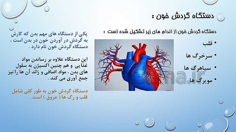 پاورپوینت دستگاه گوارش، دستگاه تنفسی، دستگاه گردش خون  و دستگاه دفع ادرار- پیش نمایش