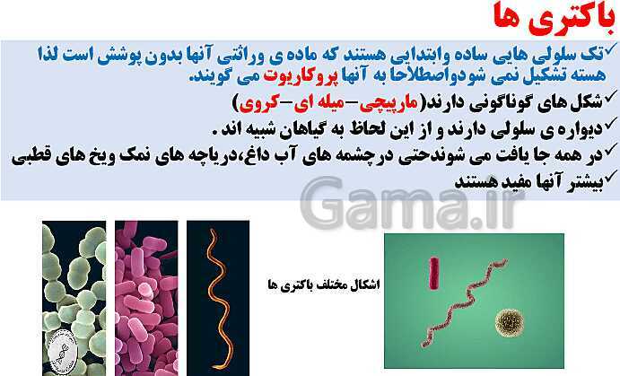 پاورپوینت علوم تجربی نهم | فصل 11: گوناگونی جانداران- پیش نمایش