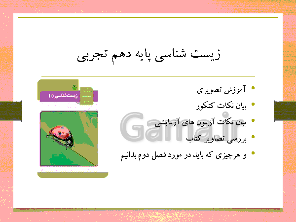 پاورپوینت گفتار 1 فصل گوارش و جذب مواد زیست شناسی دهم تجربی با آموزش تصویری- پیش نمایش