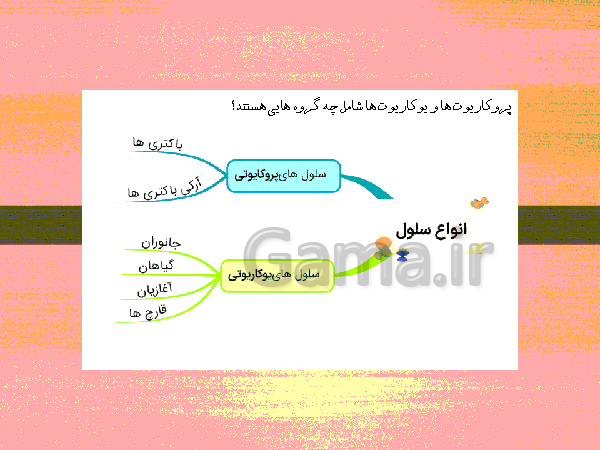 پاورپوینت گفتار 1 فصل گوارش و جذب مواد زیست شناسی دهم تجربی با آموزش تصویری- پیش نمایش