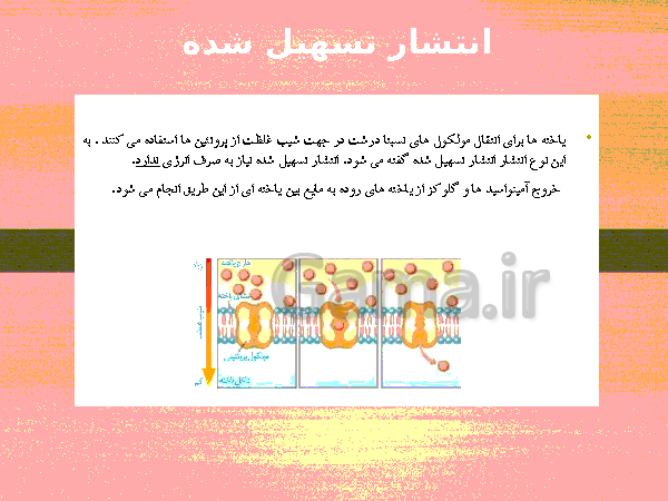 پاورپوینت گفتار 1 فصل گوارش و جذب مواد زیست شناسی دهم تجربی با آموزش تصویری- پیش نمایش