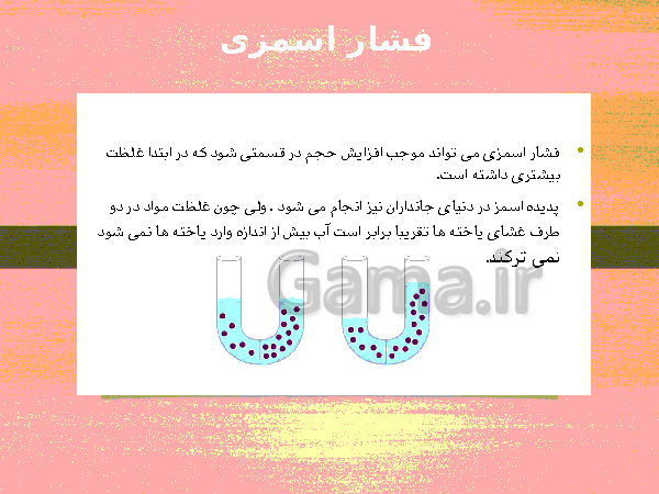 پاورپوینت گفتار 1 فصل گوارش و جذب مواد زیست شناسی دهم تجربی با آموزش تصویری- پیش نمایش