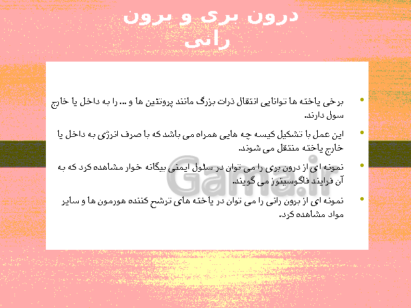 پاورپوینت گفتار 1 فصل گوارش و جذب مواد زیست شناسی دهم تجربی با آموزش تصویری- پیش نمایش