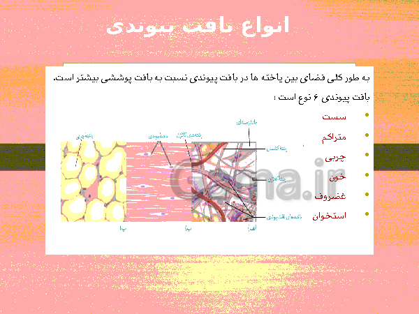 پاورپوینت گفتار 1 فصل گوارش و جذب مواد زیست شناسی دهم تجربی با آموزش تصویری- پیش نمایش