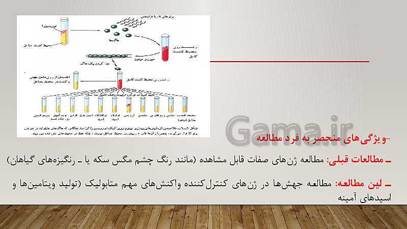 پاورپوینت تدریس زیست شناسی (3) دوازدهم تجربی | فصل 1: مولکول‌های اطلاعاتی- پیش نمایش