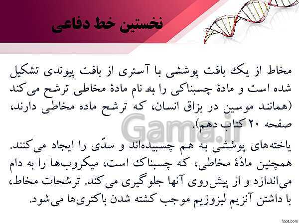 پاورپوینت تدریس زیست شناسی (2) یازدهم تجربی | فصل 5: ایمنی (گفتار 1: نخستین خط دفاعی؛ ورود ممنوع)- پیش نمایش