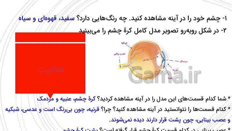 پاورپوینت آموزش متن کتاب علوم تجربی پنجم دبستان | درس 6: چه خبر؟ (1)- پیش نمایش