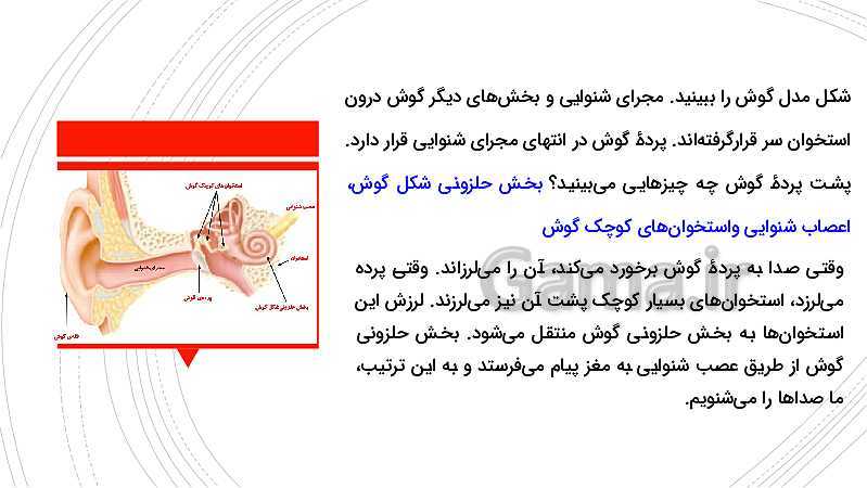 پاورپوینت آموزش متن کتاب علوم تجربی پنجم دبستان | درس 6: چه خبر؟ (1)- پیش نمایش