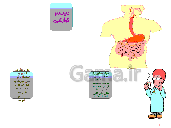 پاورپوینت علوم تجربی هفتم  | دستگاه گوارش- پیش نمایش