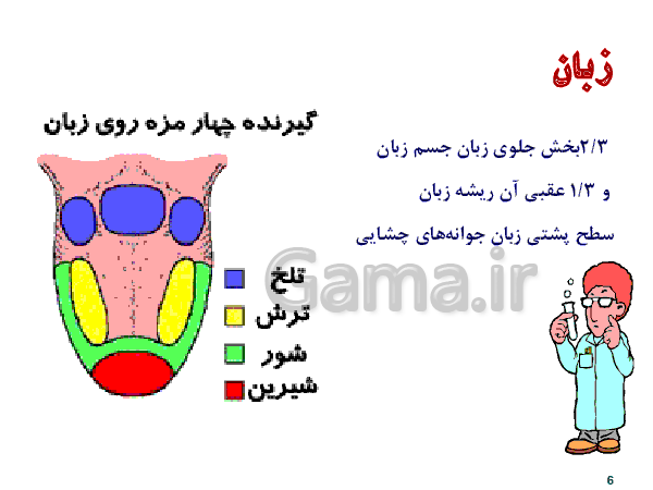 پاورپوینت علوم تجربی هفتم  | دستگاه گوارش- پیش نمایش