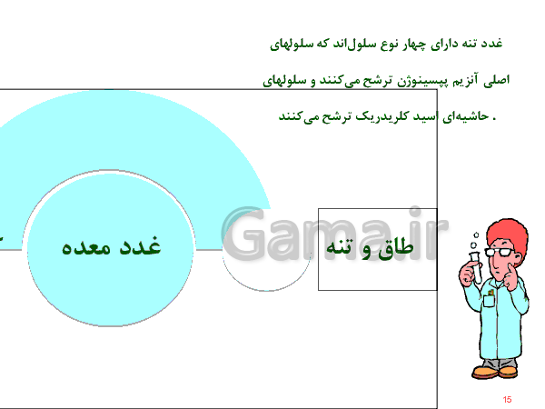 پاورپوینت علوم تجربی هفتم  | دستگاه گوارش- پیش نمایش