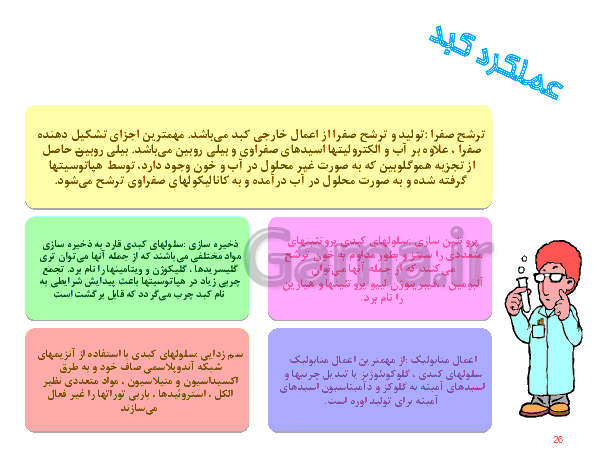 پاورپوینت علوم تجربی هفتم  | دستگاه گوارش- پیش نمایش