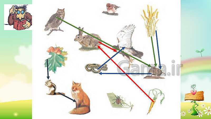 پاورپوینت آموزش علوم تجربی کلاس ششم دبستان | درس 12: جنگل برای کیست؟- پیش نمایش
