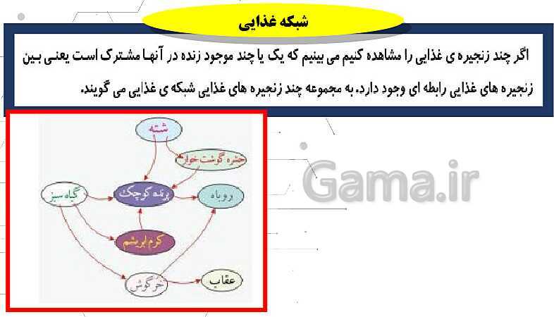 پاورپوینت آموزش علوم تجربی کلاس ششم دبستان | درس 12: جنگل برای کیست؟- پیش نمایش