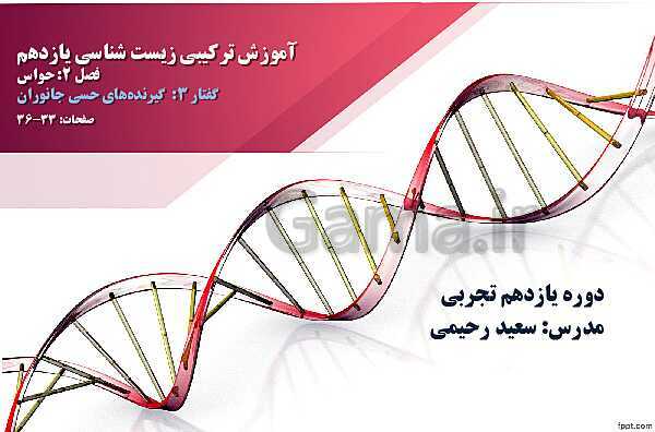 پاورپوینت تدریس زیست شناسی (2) یازدهم تجربی | فصل 2: حواس (گفتار 3: گیرنده های حسی جانوران)- پیش نمایش